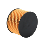 Fuel Filter 1318563 for Citroën